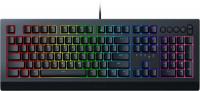  Razer Cynosa v2 (     Chroma) (RZ03-03400700-R3R1)