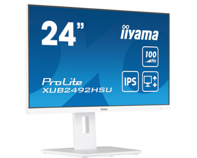  23.8" Iiyama ProLite XUB2492HSU-W6  