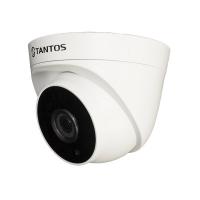 IP ������ Tantos TSi-Eeco25FP - 2 �������������� 