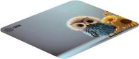    Cactus Owl gray  300x250x3 (CS-MPC-D12M)