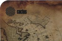 ������ ��� ���� Cactus Vintage map 250x200x3�� (CS-MP-D10S)