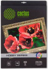  Cactus CS-A326010