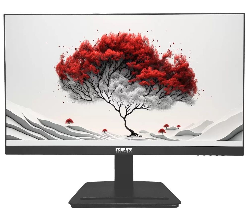 Монитор RDW Computers 23.8" 2401K FHD IPS 4ms 100Hz черный (2401K/F08B3100V3A1H)