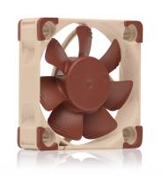 e   Noctua NF-A4x10 24V PWM (NF-A4x10 24V PWM) - 40mm, 5000 /, 19.6 , 4-pin PWM