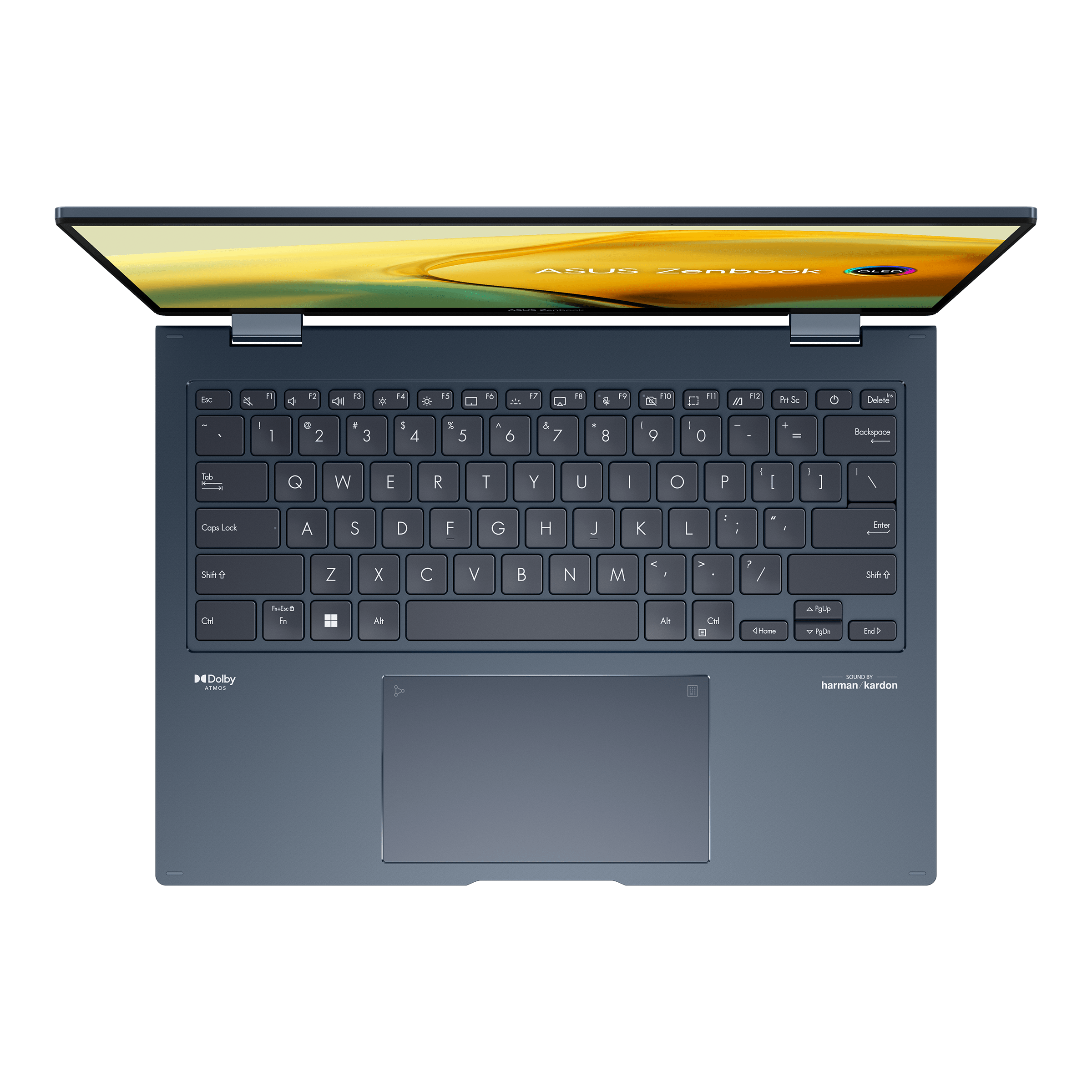 Zenbook 14 Flip Oled Купить