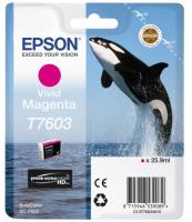  C13T76034010  EPSON SC-P600 ()