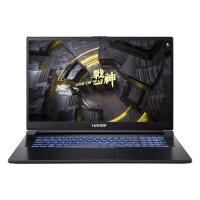  HASEE G8R9, 17.3" (2560x1440) IPS 165/Intel Core i9-13900H/16 DDR5/1 SSD/GeForce RTX 4060 8/ ,  (G8R9)