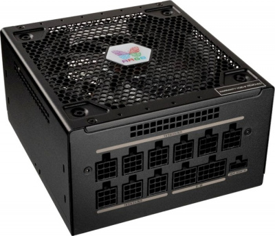 ���� ������� 750W Super Flower Leadex Gold III ARGB Pro (SF-750F14RG V2.0)