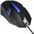 ����  Exegate GML-17 Black ��������, ���������, 1200 dpi, USB, ����: ������
