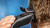 ������� ��� ������� HC3525/15 PHILIPS