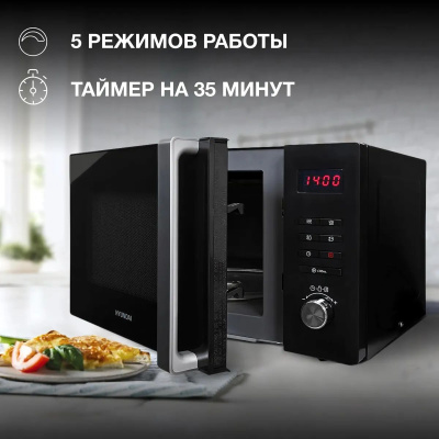 ������������� ���� Hyundai HYM-M2062 23�. 800�� ������