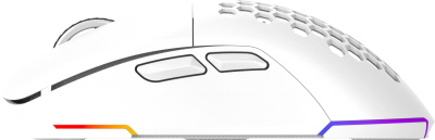 ���� ����� 900GMW ���������� 26000dpi �������. BT/Radio USB 6but, �����