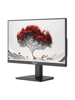 ������� RDW Computers 2401K 23.8" ������ IPS 4ms HDMI 300cd 178��/178�� 1920x1080 100Hz VGA DP FHD 4.185�� (RUS)