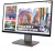 Монитор Lenovo 27" ThinkVision P27QD-40 черный IPS LED 4ms 16:9 HDMI матовая HAS Piv 1500:1 350cd 178гр/178гр 2560x1440 120Hz DP QHD USB 6.8кг Монитор Lenovo 27" ThinkVision P27QD-40 черный IPS LED 4ms 16:9 HDMI матовая HAS Piv 1500:1 350cd 178гр/178гр 2560x1440 120Hz DP QHD USB 6.8кг