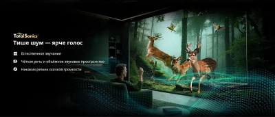 ��������� QLED Skyworth 55" 55X67H Eye Care Frameless, 4K Ultra HD 60Hz WiFi Smart TV, ������
