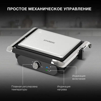 ������������ Hyundai HYG-3041 2000�� ������/������