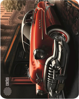 ������ ��� ���� Cactus Red Car 300x250x2�� (CS-MP-P07M)