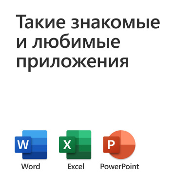 Microsoft Office     2019,  (79G-05012)