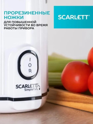 ������������� �������� Scarlett SC-JE50S63 400�� ���.���.:600��. �����