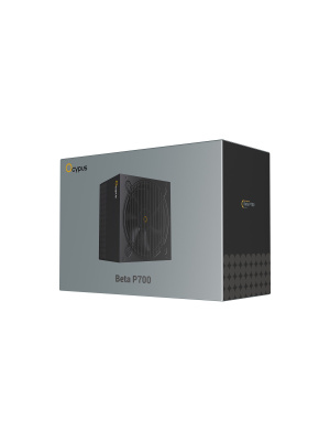 ���� ������� Ocypus Beta P700, 700W, APFC, 120mm Fan (P700-N)
