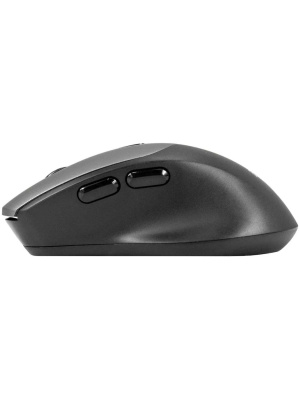 ������������ ���� ExeGate Professional Standard BT-070 (���������� 2,4 ���+ Bluetooth5.2, ����������, 1600dpi, 6D, 6 ������ � ������ ���������) EX298897RUS