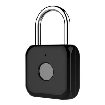   Digma SmartLock P1 100mAh  (SRP1)