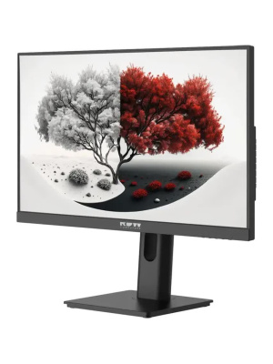 ������� RDW Computers 23.8" RDW2401K ������ IPS 4ms HDMI M/M HAS Piv 350cd 178��/178�� 1920x1080 120Hz VGA DP FHD USB (RUS)
