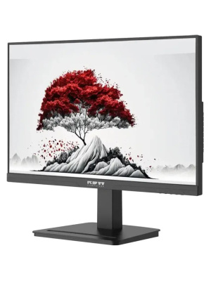������� RDW Computers 23.8" RDW2401K ������ IPS 4ms HDMI M/M HAS Piv 350cd 178��/178�� 1920x1080 VGA DP FHD USB (RUS)