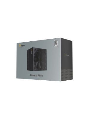 ���� ������� Ocypus Gamma P650, 650W, APFC, 80+, 120mm Fan (P650-W)