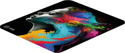 ������ ��� ���� Cactus Color paint 300x250x3�� (CS-MPC-D08M)