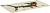 ������ ��� ���� Cactus Shark 900x400x4�� (CS-MP-COR03XXL)