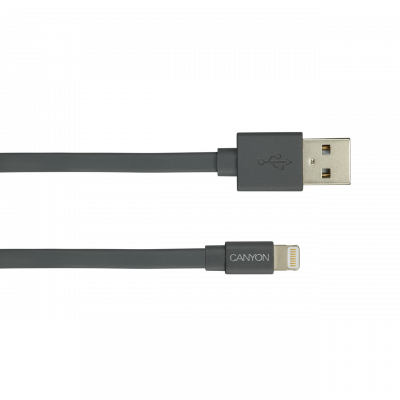  Apple Lightning/USB 1.0,   , , (MFI) CANYON  CNS-MFIC2DG