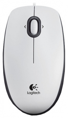 Logitech B100 (910-003360) ����� 800 USB (2������)