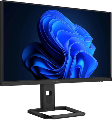 ������� Digma Pro 27" Action M Ultra HD 4K IPS LED ������ DM27SP07