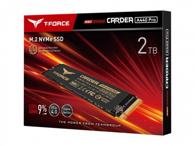  SSD M.2 PCIe TEAMGROUP T-FORCE CARDEA A440 PRO Graphene HS 2TB