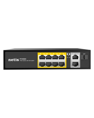 ���������� NETIS P110GH 