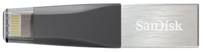 USB Flash  128Gb Sandisk iXpand Mini (SDIX40N-128G-GN6NE)