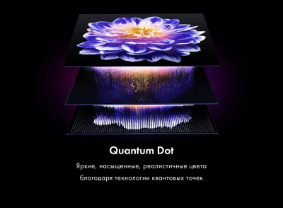 ��������� Haier S2 Pro 65" HQLED 4K Ultra HD 60Hz Smart TV ������ (DH1VNBD01RU)