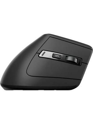 ���� ������������ ������������ RAPOO EV310M, ���� - ������