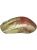 Мышь SteelSeries Wireless Gaming Mouse CS2 Dragon Lore Edition Мышь SteelSeries Wireless Gaming Mouse CS2 Dragon Lore Edition