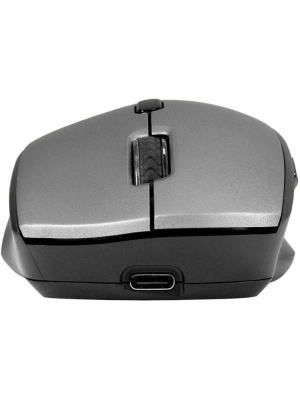 ������������ ���� ExeGate Professional Standard BT-070 (���������� 2,4 ���+ Bluetooth5.2, ����������, 1600dpi, 6D, 6 ������ � ������ ���������) EX298897RUS