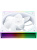 Вентилятор Thermalright TL-M12RW / Reverse / ARGB / 120mm PWM / TRTLM12RW Вентилятор Thermalright TL-M12RW / Reverse / ARGB / 120mm PWM / TRTLM12RW