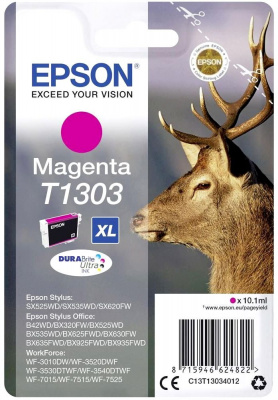 �������� Epson C13T13034012