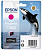  C13T76034010  EPSON SC-P600 ()