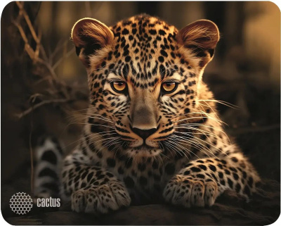 ������ ��� ���� Cactus Leopard 250x200x3�� (CS-MP-D06S)