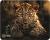 Коврик для мыши Cactus Leopard 250x200x3мм (CS-MP-D06S) Коврик для мыши Cactus Leopard 250x200x3мм (CS-MP-D06S)