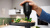Мясорубка Bosch MFWS609W белый Мясорубка Bosch MFWS609W белый