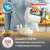 ������ ������������ Moulinex HM464110 500�� �����/������