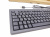 Клавиатура HP 125 механическая черный USB (M27527-061) Клавиатура HP 125 механическая черный USB (M27527-061)