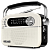 ������������ SVEN SRP-505 ����� (4 ��, FM/AM/SW, USB, SD/microSD, Bluetooth, 1200 ���)
